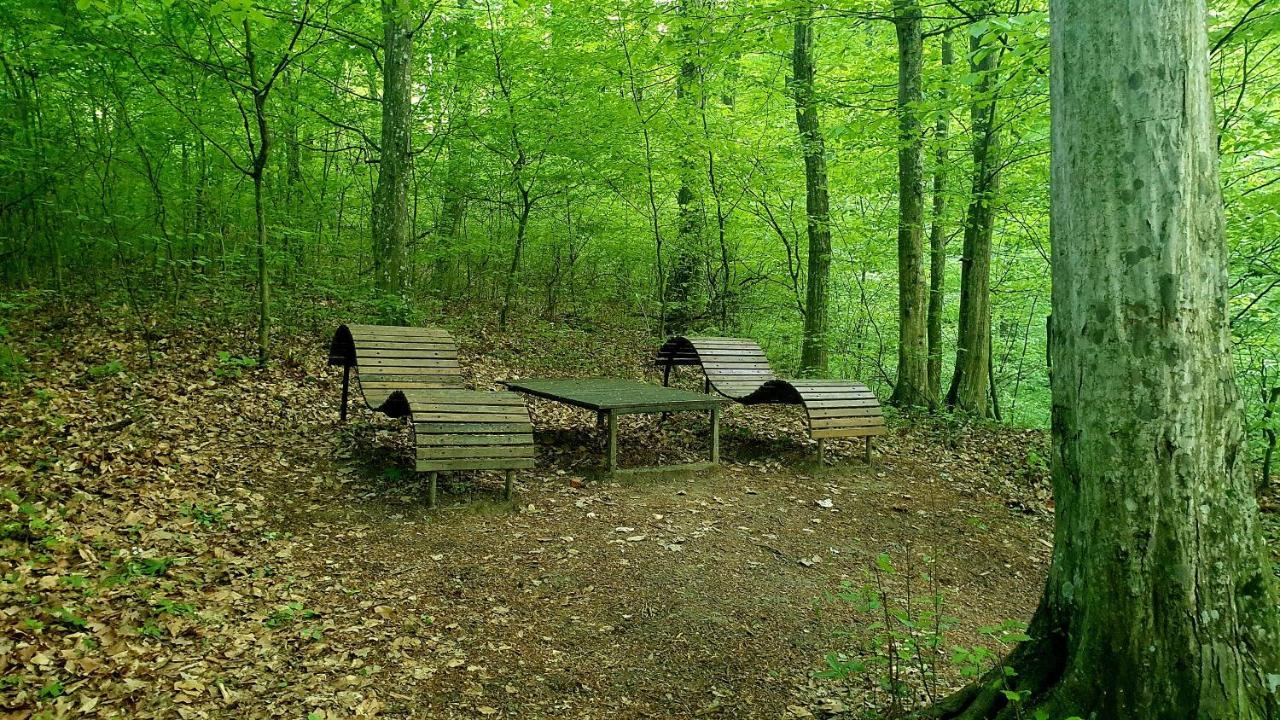 Hillside Garden Apartman Daire Zalakaros Dış mekan fotoğraf